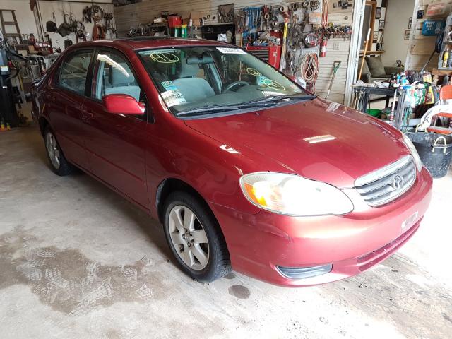 TOYOTA COROLLA CE 2003 with VIN 1NXBR32E03Z111729 - Photo from auction