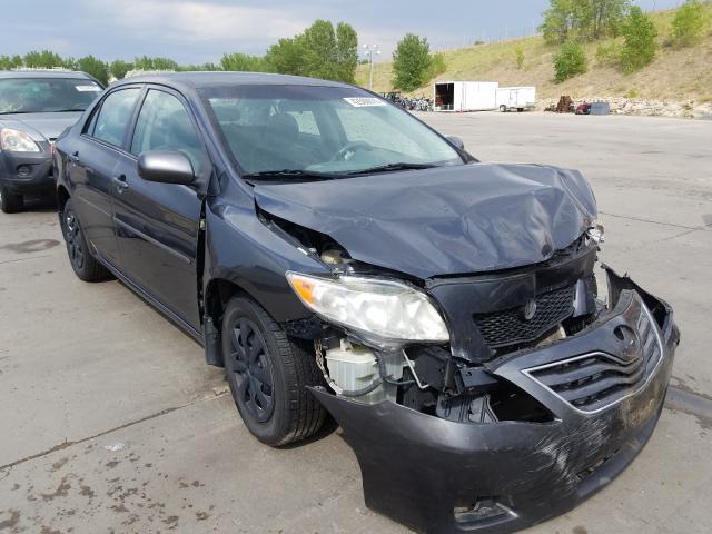 TOYOTA COROLLA BA 2010 with VIN 1NXBU4EE5AZ238294 - Photo from auction
