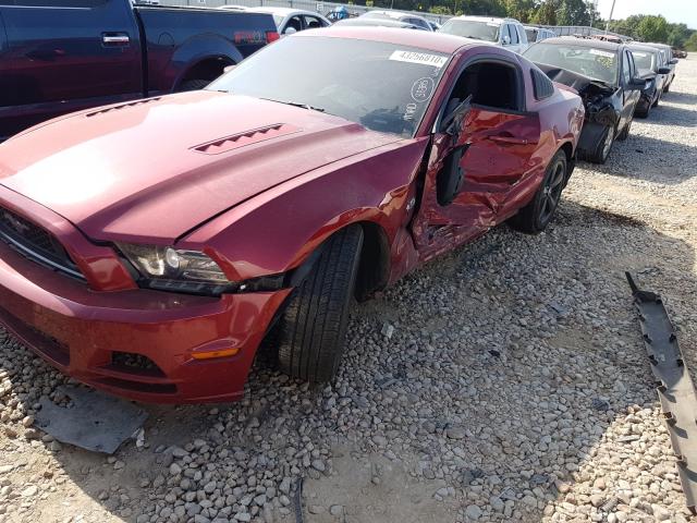 Photo 2 from auction – 2014 FORD MUSTANG GT with VIN 1ZVBP8CF4E5255342