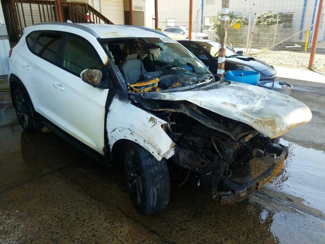 HYUNDAI TUCSON LIM 2019 with VIN KM8J3CAL2KU874640 - Photo from auction