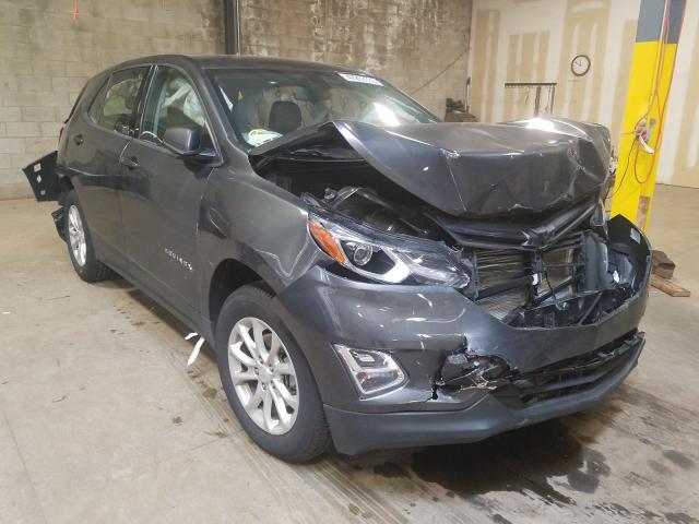 CHEVROLET EQUINOX LS 2019 with VIN 2GNAXSEV4K6283004 - Photo from auction