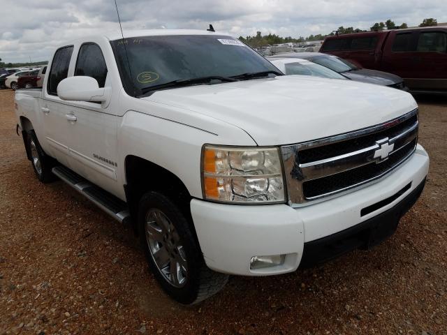 CHEVROLET SILVERADO 2009 with VIN 3GCEK33M99G142484 - Photo from auction