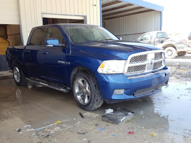 DODGE RAM 1500 2010 with VIN 1D7RB1CT5AS169343 - Photo from auction