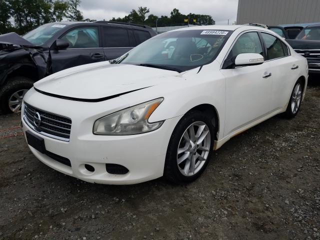 Photo 2 from auction – 2011 NISSAN MAXIMA S with VIN 1N4AA5AP7BC841282