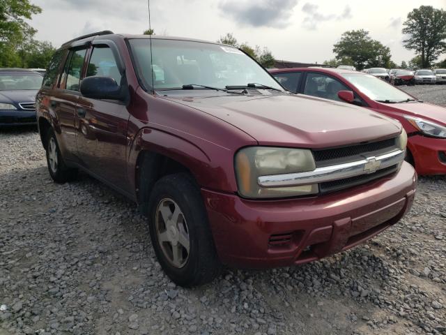 Photo 1 from auction – 2004 CHEVROLET TRAILBLAZE with VIN 1GNDT13S242413437