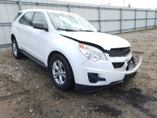CHEVROLET EQUINOX LS 2013 with VIN 1GNFLCEK7DZ110890 - Photo from auction