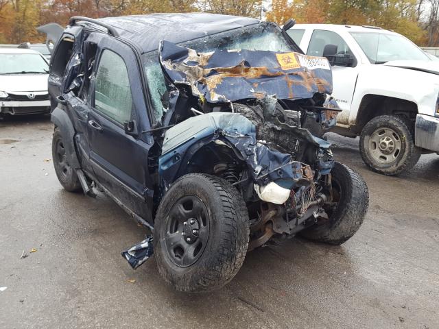 JEEP LIBERTY SP 2007 with VIN 1J4GL48K27W513030 - Photo from auction