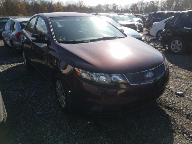 KIA FORTE EX 2010 with VIN KNAFU4A24A5169400 - Photo from auction