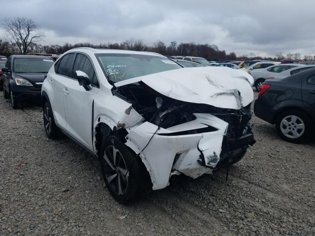 LEXUS NX 300H 2018 with VIN JTJBJRBZ3J2091967 - Photo from auction