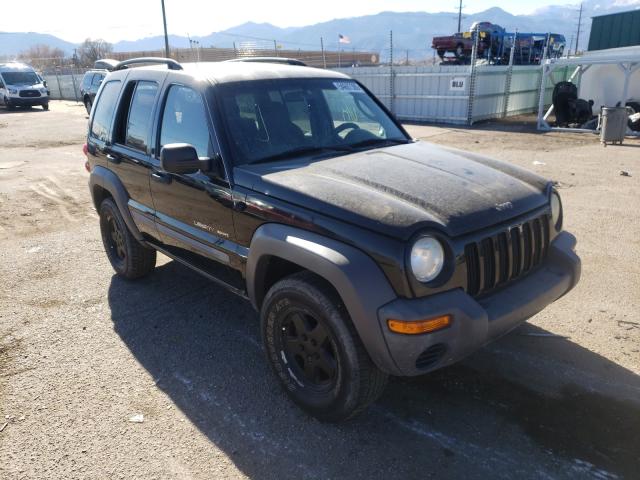 Photo 1 from auction – 2002 JEEP LIBERTY SP with VIN 1J4GL48K42W128934