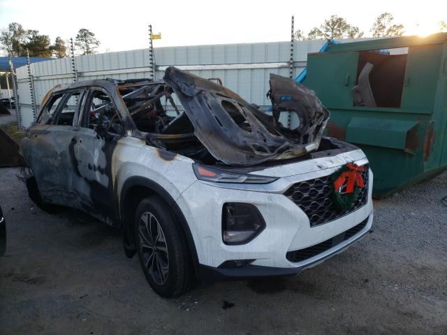HYUNDAI SANTA FE L 2019 with VIN 5NMS53AA1KH109010 - Photo from auction