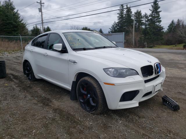 BMW X6 M 2010 with VIN 5YMGZ0C59ALK13256 - Photo from auction