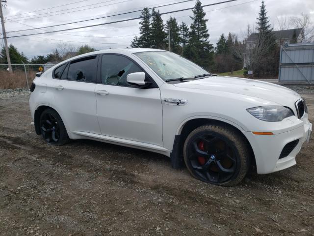 Photo 9 from auction – 2010 BMW X6 M with VIN 5YMGZ0C59ALK13256