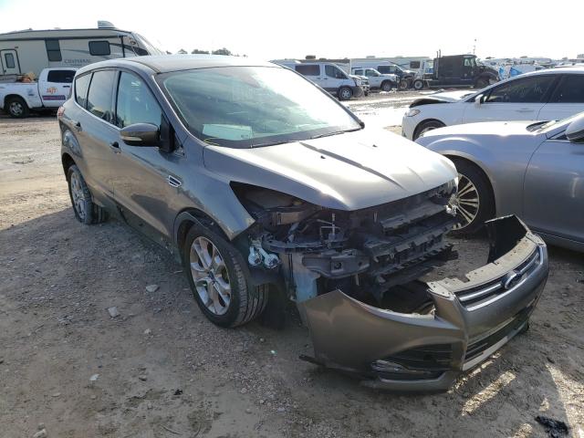 FORD ESCAPE SEL 2013 with VIN 1FMCU0H92DUA10091 - Photo from auction