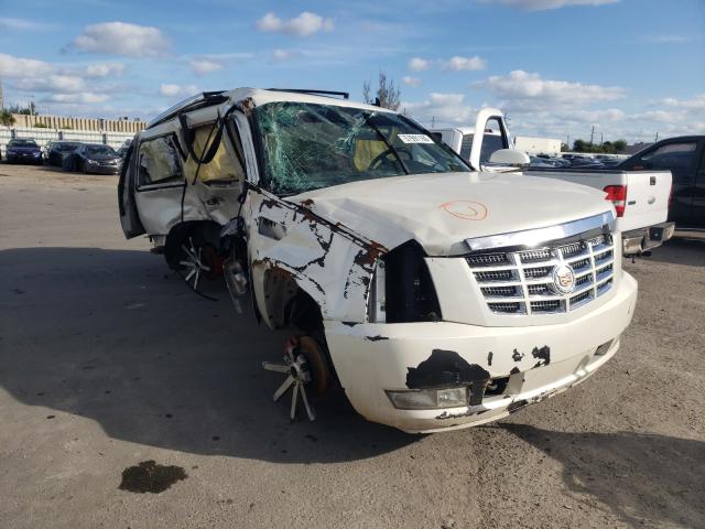 CADILLAC ESCALADE L 2007 with VIN 1GYEC63867R352548 - Photo from auction