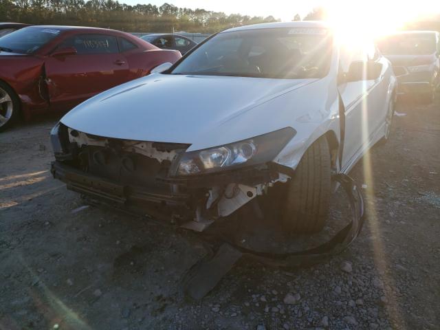 Photo 2 from auction – 2010 HONDA ACCORD EXL with VIN 1HGCS2A80AA009740
