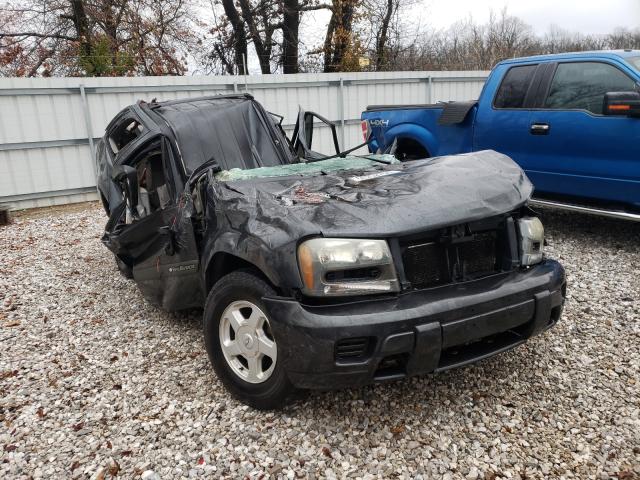 CHEVROLET TRAILBLAZE 2003 with VIN 1GNDT13S732252131 - Photo from auction