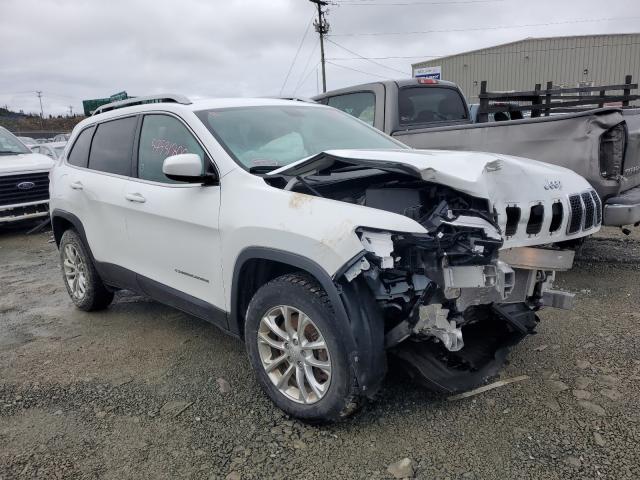 JEEP CHEROKEE L 2019 with VIN 1C4PJMCB4KD279495 - Photo from auction