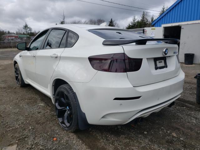 Photo 3 from auction – 2010 BMW X6 M with VIN 5YMGZ0C59ALK13256