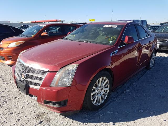 Photo 2 from auction – 2011 CADILLAC CTS LUXURY with VIN 1G6DG5EY0B0164850