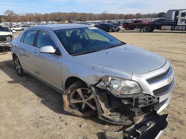 CHEVROLET MALIBU 1LT 2011 with VIN 1G1ZC5E13BF398228 - Photo from auction
