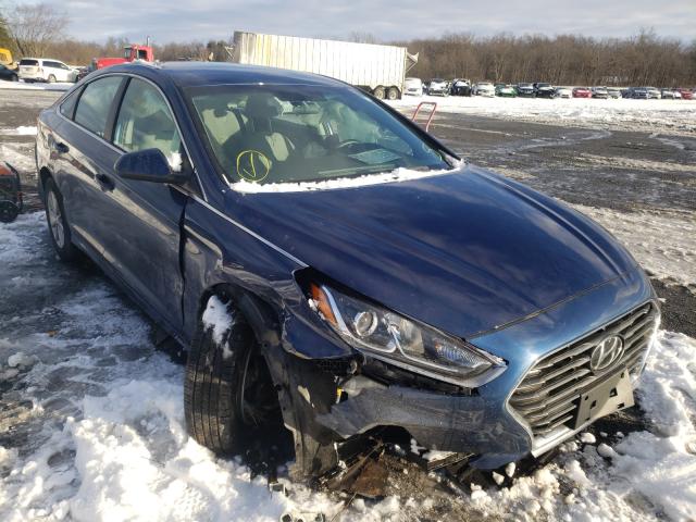 HYUNDAI SONATA SE 2019 with VIN 5NPE24AF5KH768749 - Photo from auction