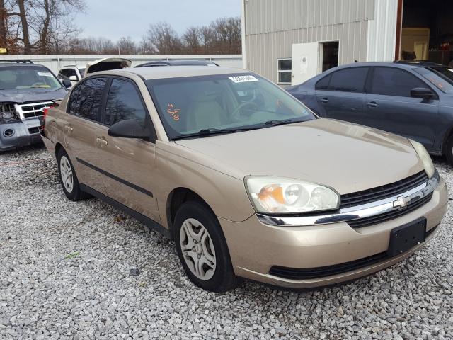 CHEVROLET MALIBU 2005 with VIN 1G1ZS52F65F182784 - Photo from auction