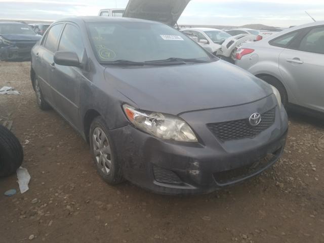Photo 1 from auction – 2009 TOYOTA COROLLA BA with VIN JTDBL40E099027856