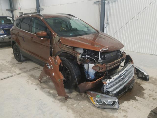 FORD ESCAPE SE 2017 with VIN 1FMCU9GD6HUB43162 - Photo from auction