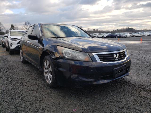 HONDA ACCORD EXL 2008 with VIN 1HGCP368X8A027995 - Photo from auction