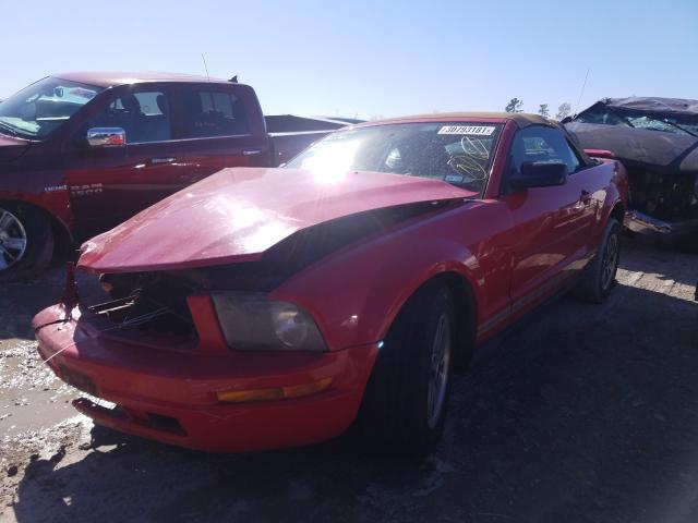 Photo 2 from auction – 2005 FORD MUSTANG with VIN 1ZVFT84N255178165