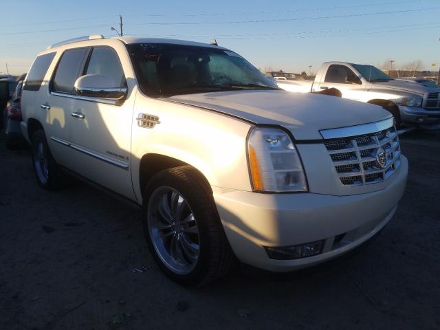 CADILLAC ESCALADE L 2009 with VIN 1GYFK23219R217489 - Photo from auction