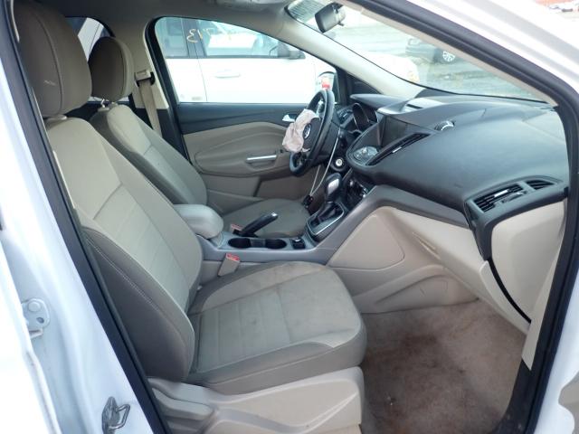 Photo 5 from auction – 2014 FORD ESCAPE SE with VIN 1FMCU0GX6EUB38559