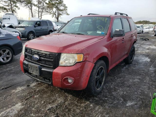 Photo 2 from auction – 2010 FORD ESCAPE XLT with VIN 1FMCU0D73AKB95604