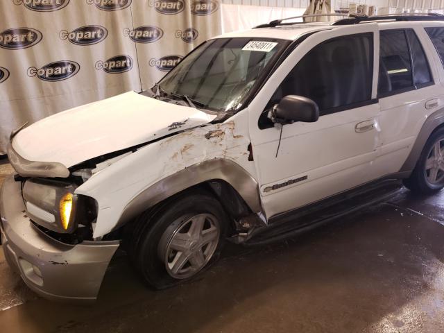 Photo 10 from auction – 2003 CHEVROLET TRAILBLAZE with VIN 1GNDS13S932182800