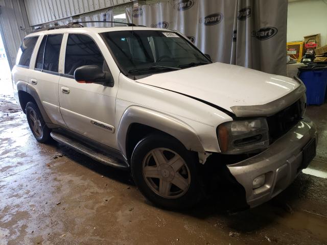 CHEVROLET TRAILBLAZE 2003 with VIN 1GNDS13S932182800 - Photo from auction