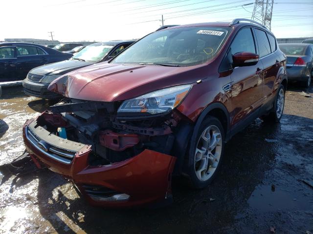 Photo 2 from auction – 2014 FORD ESCAPE TIT with VIN 1FMCU0J9XEUB44200