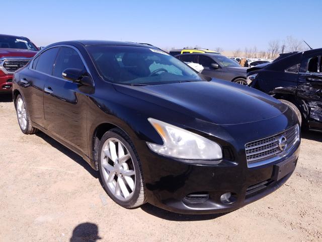 NISSAN MAXIMA S 2009 with VIN 1N4AA51EX9C813436 - Photo from auction