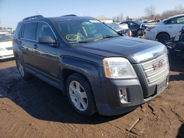GMC TERRAIN SL 2010 with VIN 2CTFLGEW2A6289483 - Photo from auction