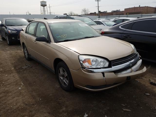 Photo 1 from auction – 2005 CHEVROLET MALIBU LS with VIN 1G1ZT52895F122254