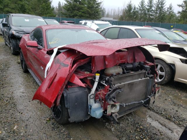 FORD MUSTANG GT 2016 with VIN 1FA6P8CF4G5269397 - Photo from auction
