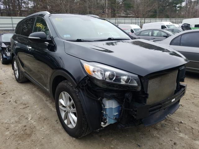 KIA SORENTO LX 2017 with VIN 5XYPGDA50HG290063 - Photo from auction