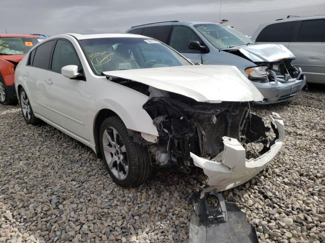 NISSAN MAXIMA SE 2007 with VIN 1N4BA41E17C833781 - Photo from auction