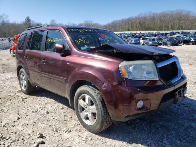 HONDA PILOT EXL 2009 with VIN 5FNYF48529B035355 - Photo from auction