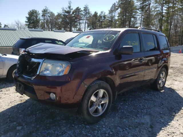 Photo 2 from auction – 2009 HONDA PILOT EXL with VIN 5FNYF48529B035355