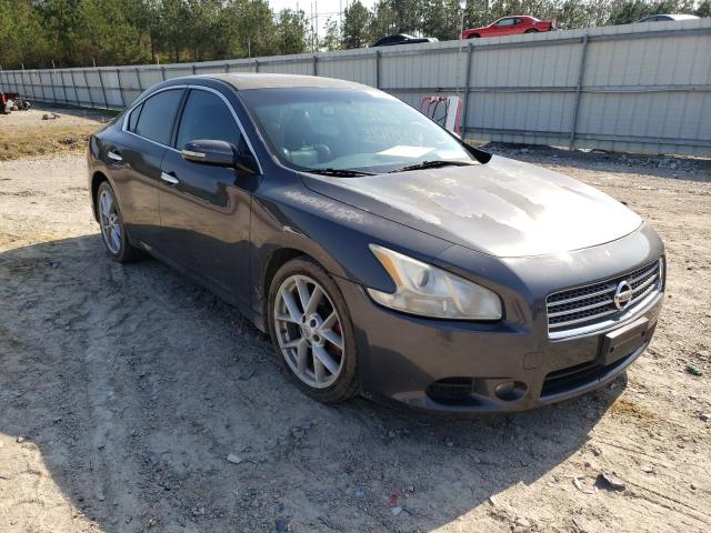 Zdjęcie 1 z aukcji – 2009 NISSAN MAXIMA S z VIN 1N4AA51E99C826307