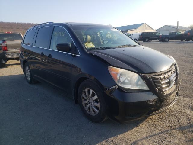 HONDA ODYSSEY 2008 with VIN 5FNRL38668B078420 - Photo from auction