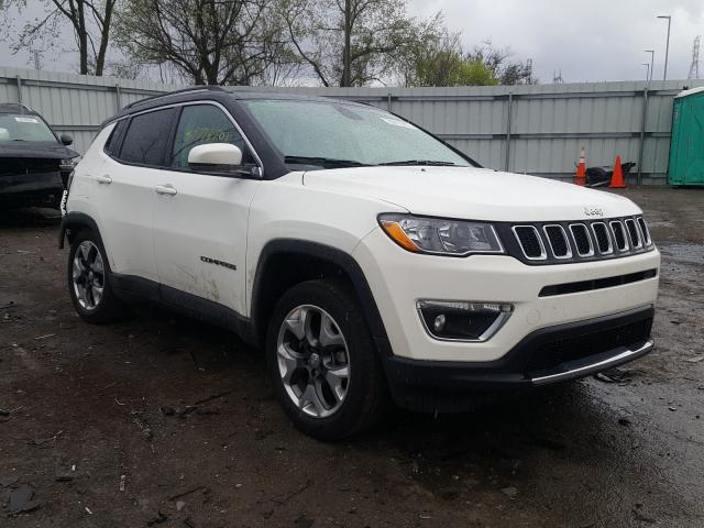 JEEP COMPASS LI 2020 with VIN 3C4NJDCB8LT256319 - Photo from auction