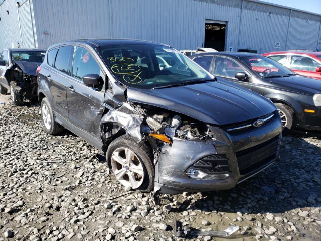 FORD ESCAPE SE 2016 with VIN 1FMCU0G74GUC72313 - Photo from auction