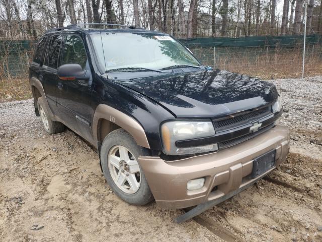 CHEVROLET TRAILBLAZE 2002 with VIN 1GNDT13SX22518160 - Photo from auction